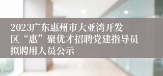 2023广东惠州市大亚湾开发区“惠”聚优才招聘党建指导员拟聘用人员公示