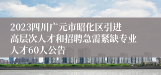 2023四川广元市昭化区引进高层次人才和招聘急需紧缺专业人才60人公告