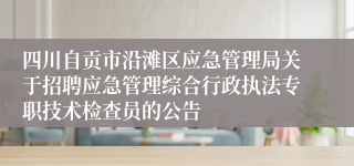 四川自贡市沿滩区应急管理局关于招聘应急管理综合行政执法专职技术检查员的公告