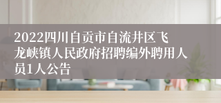 2022四川自贡市自流井区飞龙峡镇人民政府招聘编外聘用人员1人公告