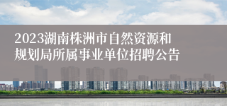 2023湖南株洲市自然资源和规划局所属事业单位招聘公告