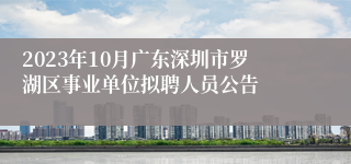 2023年10月广东深圳市罗湖区事业单位拟聘人员公告