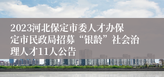 2023河北保定市委人才办保定市民政局招募“银龄”社会治理人才11人公告