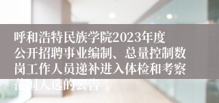 呼和浩特民族学院2023年度公开招聘事业编制、总量控制数岗工作人员递补进入体检和考察范围人选的公告