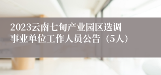 2023云南七甸产业园区选调事业单位工作人员公告（5人）