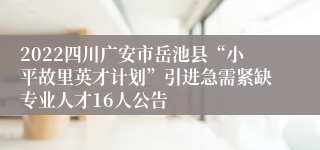 2022四川广安市岳池县“小平故里英才计划”引进急需紧缺专业人才16人公告