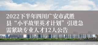 2022下半年四川广安市武胜县“小平故里英才计划”引进急需紧缺专业人才12人公告