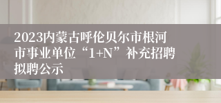 2023内蒙古呼伦贝尔市根河市事业单位“1+N”补充招聘拟聘公示
