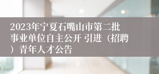 2023年宁夏石嘴山市第二批事业单位自主公开 引进（招聘）青年人才公告