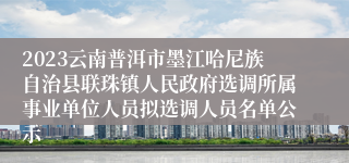 2023云南普洱市墨江哈尼族自治县联珠镇人民政府选调所属事业单位人员拟选调人员名单公示