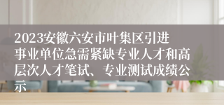 2023安徽六安市叶集区引进事业单位急需紧缺专业人才和高层次人才笔试、专业测试成绩公示