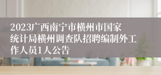 2023广西南宁市横州市国家统计局横州调查队招聘编制外工作人员1人公告