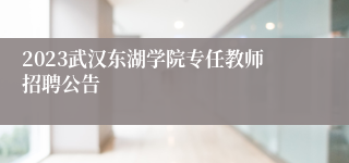 2023武汉东湖学院专任教师招聘公告