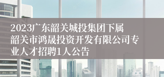 2023广东韶关城投集团下属韶关市鸿晟投资开发有限公司专业人才招聘1人公告