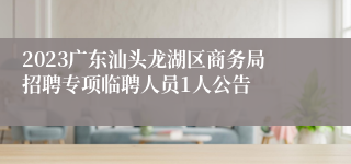 2023广东汕头龙湖区商务局招聘专项临聘人员1人公告