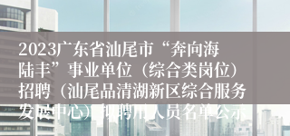 2023广东省汕尾市“奔向海陆丰”事业单位（综合类岗位）招聘（汕尾品清湖新区综合服务发展中心）拟聘用人员名单公示