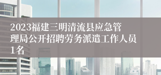 2023福建三明清流县应急管理局公开招聘劳务派遣工作人员1名