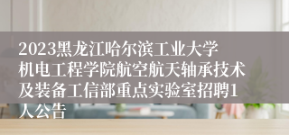 2023黑龙江哈尔滨工业大学机电工程学院航空航天轴承技术及装备工信部重点实验室招聘1人公告