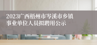 2023广西梧州市岑溪市乡镇事业单位人员拟聘用公示