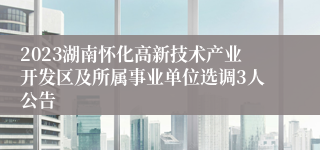 2023湖南怀化高新技术产业开发区及所属事业单位选调3人公告