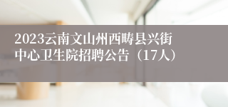 2023云南文山州西畴县兴街中心卫生院招聘公告（17人）