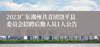 2023广东潮州共青团饶平县委员会招聘后勤人员1人公告