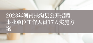 2023年河南扶沟县公开招聘事业单位工作人员17人实施方案