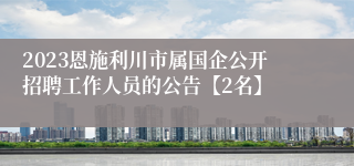 2023恩施利川市属国企公开招聘工作人员的公告【2名】