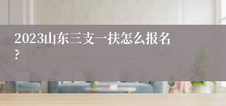 2023山东三支一扶怎么报名?