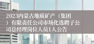 2023内蒙古地质矿产（集团）有限责任公司市场化选聘子公司总经理岗位人员1人公告