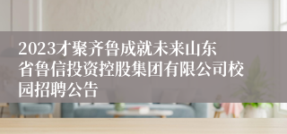 2023才聚齐鲁成就未来山东省鲁信投资控股集团有限公司校园招聘公告