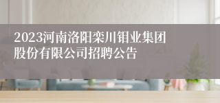 2023河南洛阳栾川钼业集团股份有限公司招聘公告