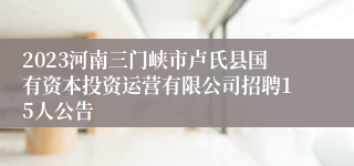 2023河南三门峡市卢氏县国有资本投资运营有限公司招聘15人公告 