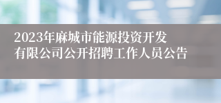 2023年麻城市能源投资开发有限公司公开招聘工作人员公告