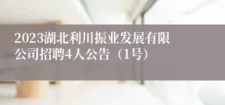 2023湖北利川振业发展有限公司招聘4人公告（1号）