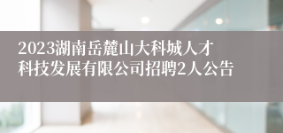 2023湖南岳麓山大科城人才科技发展有限公司招聘2人公告