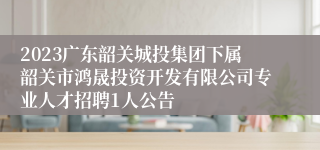 2023广东韶关城投集团下属韶关市鸿晟投资开发有限公司专业人才招聘1人公告