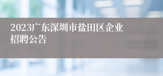 2023广东深圳市盐田区企业招聘公告