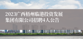 2023广西梧州临港投资发展集团有限公司招聘4人公告