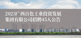 2023广西百色工业投资发展集团有限公司招聘45人公告