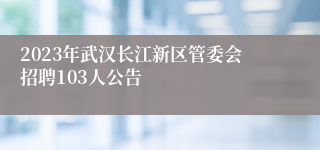 2023年武汉长江新区管委会招聘103人公告