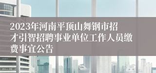 2023年河南平顶山舞钢市招才引智招聘事业单位工作人员缴费事宜公告