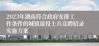 2023年湖南符合政府安排工作条件的城镇退役士兵竞聘招录实施方案