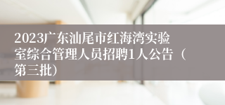 2023广东汕尾市红海湾实验室综合管理人员招聘1人公告（第三批）