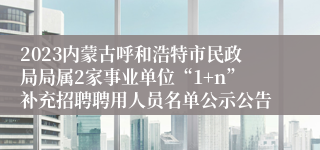 2023内蒙古呼和浩特市民政局局属2家事业单位“1+n”补充招聘聘用人员名单公示公告