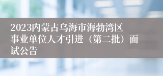 2023内蒙古乌海市海勃湾区事业单位人才引进（第二批）面试公告