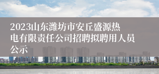 2023山东潍坊市安丘盛源热电有限责任公司招聘拟聘用人员公示