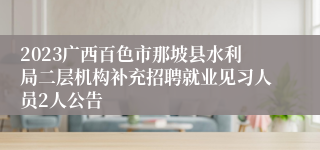 2023广西百色市那坡县水利局二层机构补充招聘就业见习人员2人公告