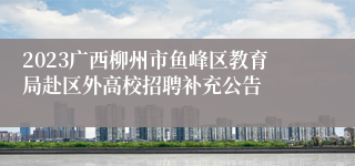 2023广西柳州市鱼峰区教育局赴区外高校招聘补充公告