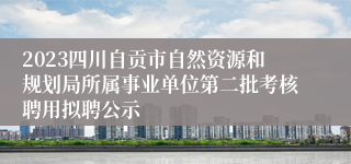 2023四川自贡市自然资源和规划局所属事业单位第二批考核聘用拟聘公示